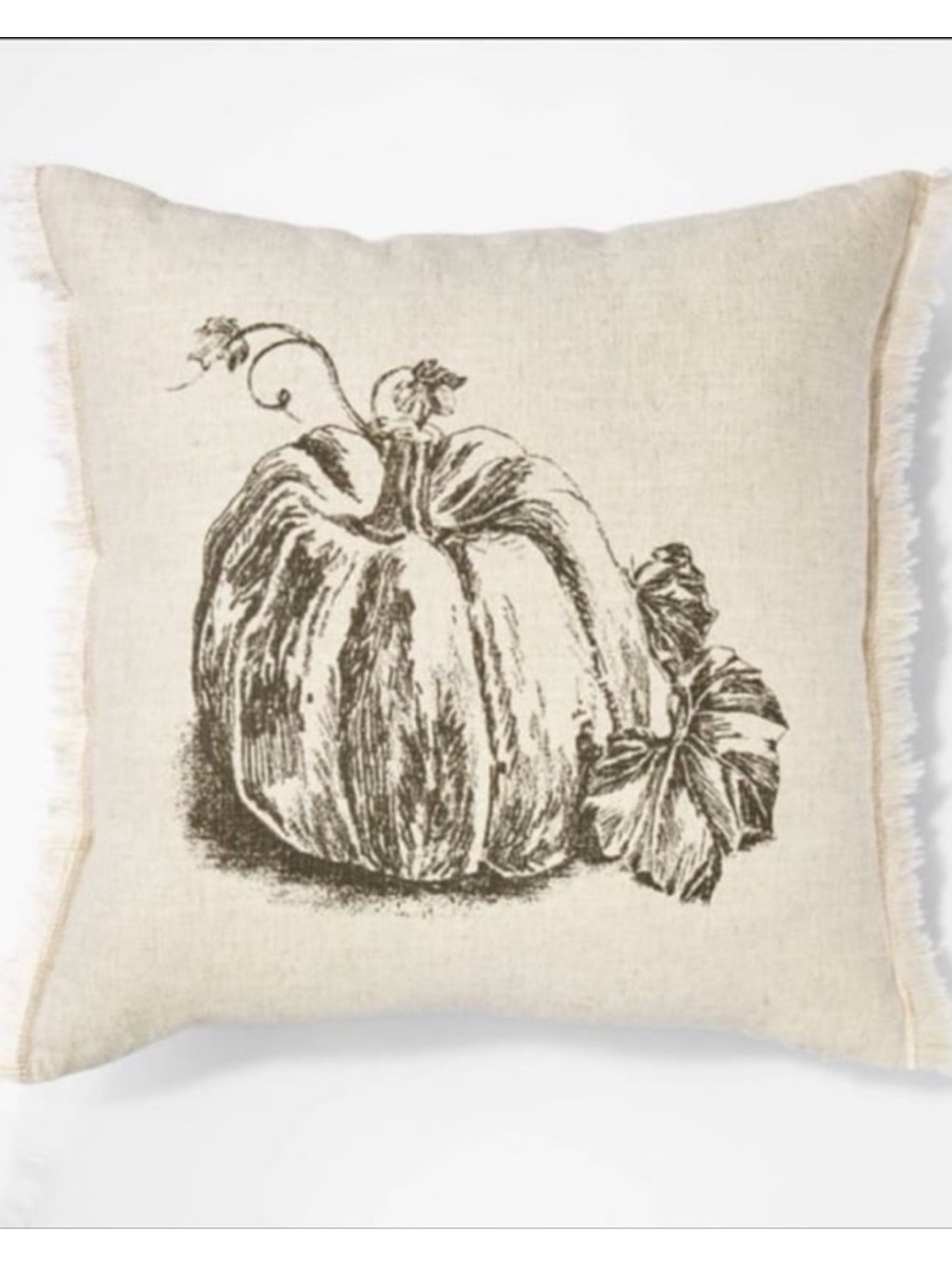 Threshold studio McGee pumpkin fall throw pillow